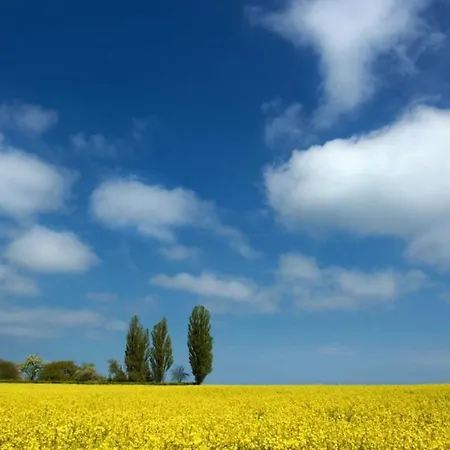 Mercedes Apartmán Zinnowitz